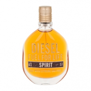 Diesel Fuel for Life Spirit EDT 75ml Perfumes for men