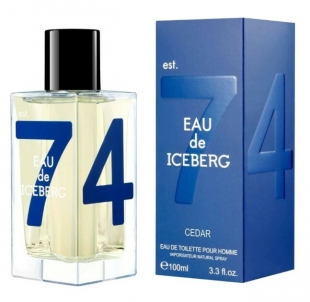 Iceberg Eau de Iceberg Cedar EDT 100ml Perfumes for men