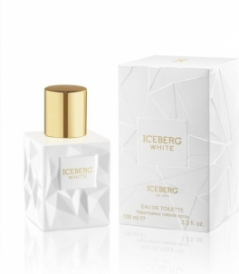Tualetinis vanduo Iceberg Iceberg White - EDT - 100 ml Духи для женщин