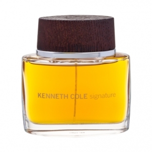 eau de toilette Kenneth Cole Signature EDT 100ml Perfumes for men