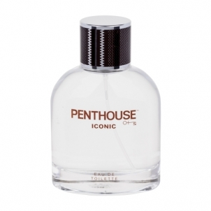 Tualetes ūdens Penthouse Iconic EDT 100ml Vīriešu smaržas