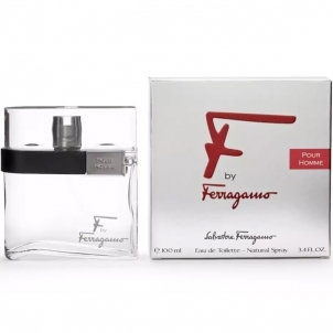 eau de toilette Salvatore Ferragamo F By Ferragamo Pour Homme EDT 100ml Perfumes for men