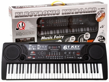 Vaikiškas sintezatorius su mikrofonu Musical toys