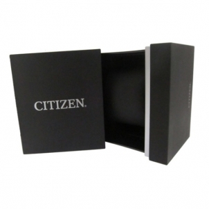 Vyriškas laikrodis Citizen BI1020-57A