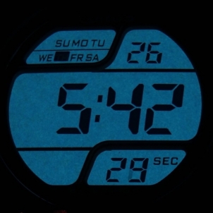 Vīriešu pulkstenis LORUS R2305EX-9