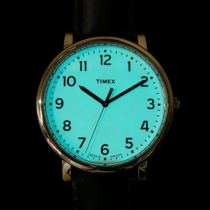 Male laikrodis Timex Men´s Style T2N338