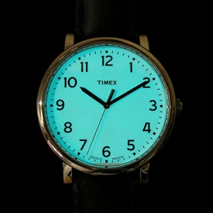 Vīriešu pulkstenis Timex Modern Originals T2N346