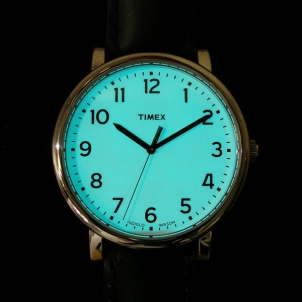 Vīriešu pulkstenis Timex Originals Modern Standard TW2T20100