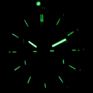 Vyriškas laikrodis Vostok Europe Almaz6S11-320C260SI