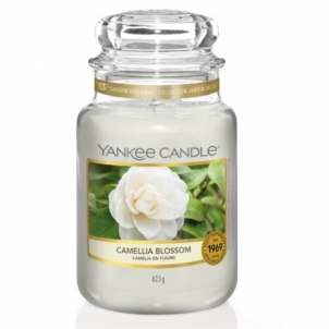 Yankee Candle Aromatic candle Classic large Camellia Blossom 623 g Mājas smaržas