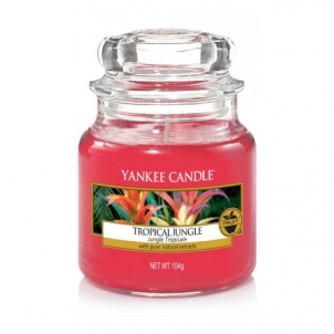 Yankee Candle Aromatic Candle Classic Small Tropical Jungle 104g Mājas smaržas