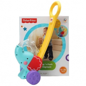 Žaislas Y8651 Fisher-Price Toys for babies