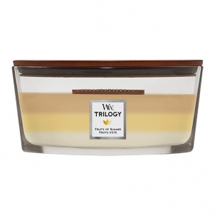Žvakė WoodWick Scented candle ship Trilogy Fruits of Summer 453 g 