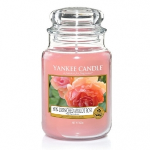 Žvakė Yankee Candle Sun-Drenched Apricot Rose 623 g Kvapai namams