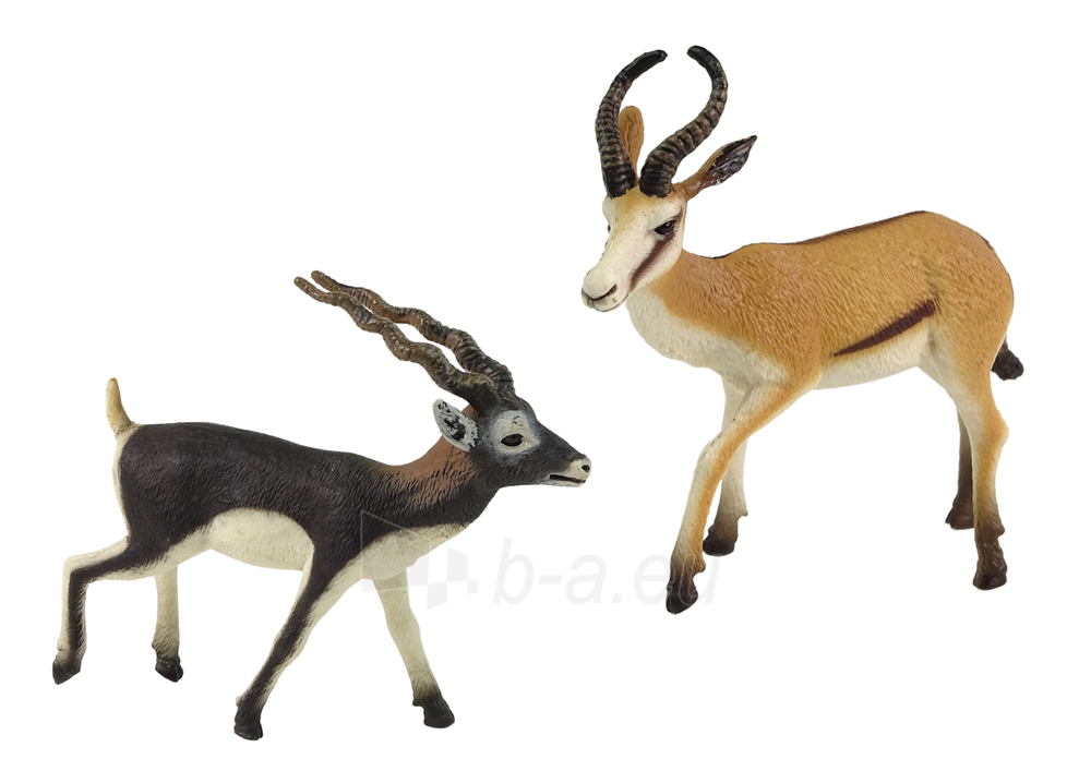 2 figūrėlių rinkinys, antilopė su jaunikliu paveikslėlis 3 iš 3