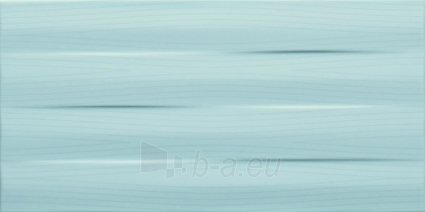 22.3*44.8 S- MAXIMA BLUE STR, plytelė paveikslėlis 1 iš 1