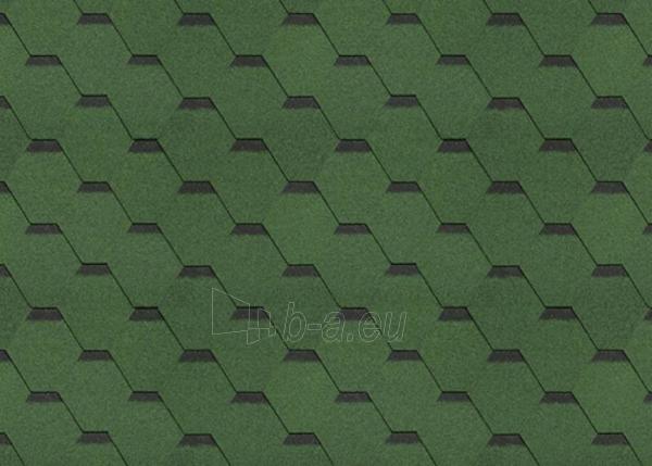 Bituminės lanksčiosios čerpės SONATA SAMBA, žalia paveikslėlis 1 iš 1
