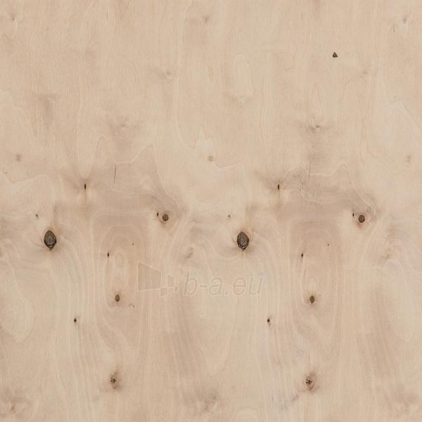 Plywood 15x1525x1525 (2,3256 kv. m) paveikslėlis 1 iš 1