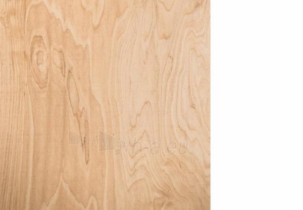 Moisture resistant plywood 2500x1250x18 BB/WG paveikslėlis 1 iš 1