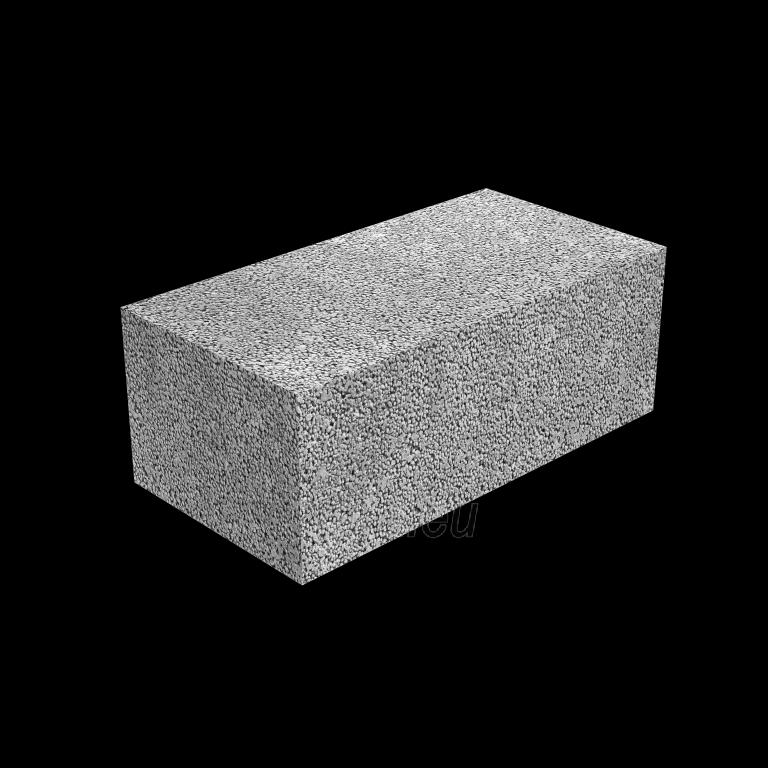 Ceramsite blocks 'Fibo', 490x185x100 mm. paveikslėlis 1 iš 1