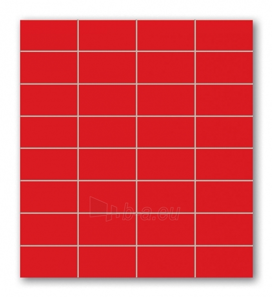 29.5*32.7 MSP-RED, mozaika paveikslėlis 1 iš 1