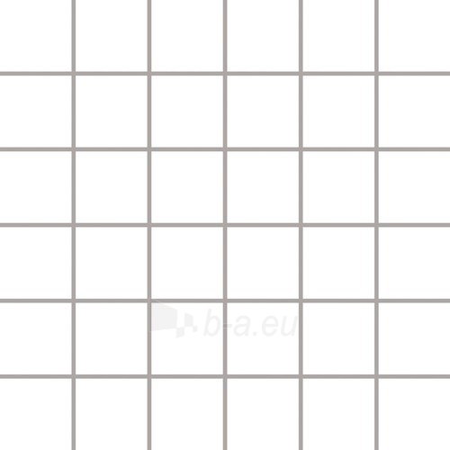 29.8*29.8 MOZ ALBIR BIANCO (4.8*4.8), ak. m. mozaika paveikslėlis 1 iš 1