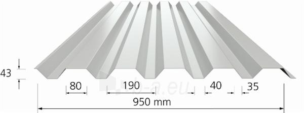 Trapecinio profilio skarda Borga VP45 (0,5 mm/P30) paveikslėlis 2 iš 2