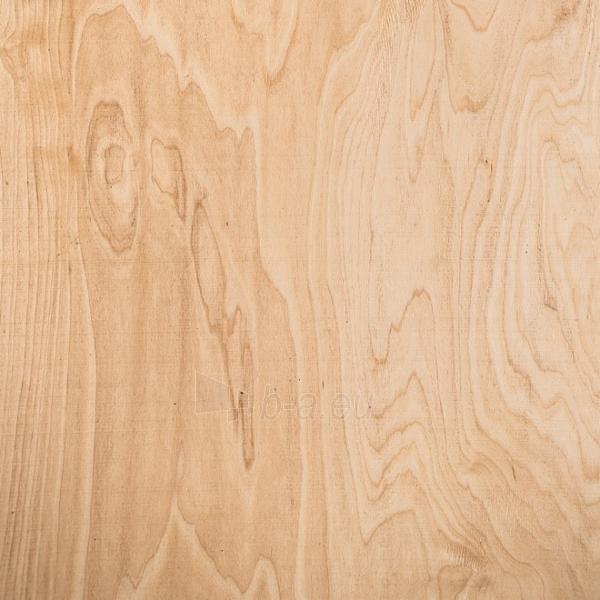 Moisture resistant plywood šlifuota 1500x3000x21 BB/WG (4,5 kv.m.) paveikslėlis 1 iš 1