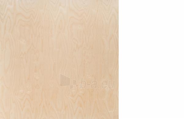 Moisture resistant plywood 1250x2500x12 B/BB(3,125 kv. m) paveikslėlis 1 iš 1
