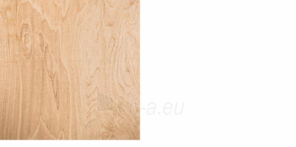 Plywood atspari drėgmei 2440x1220x15 BB/WG(2,9768 kv. m) paveikslėlis 1 iš 1