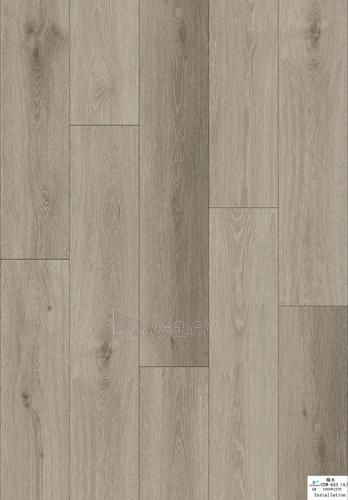Vinilinė flooring SPC APEX 643A-05, Lombardijos ąžuolas paveikslėlis 1 iš 1