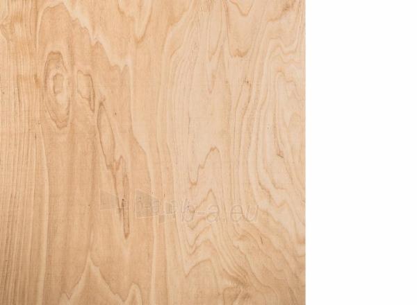 Plywood atspari drėgmei šlif. 2440x1220x12 B/BB (2.9768 m2) paveikslėlis 1 iš 1