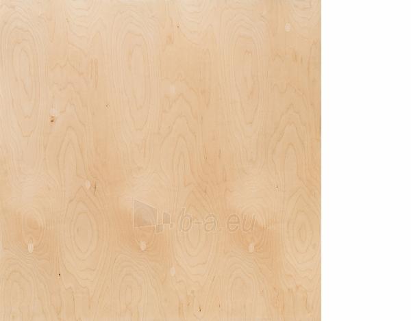 Moisture resistant plywood 1250x2500x18 BB/BB(3.125 kv.m.) paveikslėlis 1 iš 1