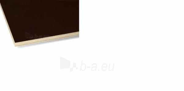Laminated plywood 1250x2500x6.5 F/F I brown spec.(3,125m2) paveikslėlis 1 iš 1