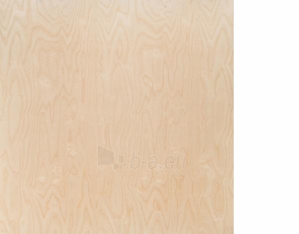 Plywood atspari drėgmei šlif. 2440x1220x18 BB/S (2.9768 m2) paveikslėlis 1 iš 1