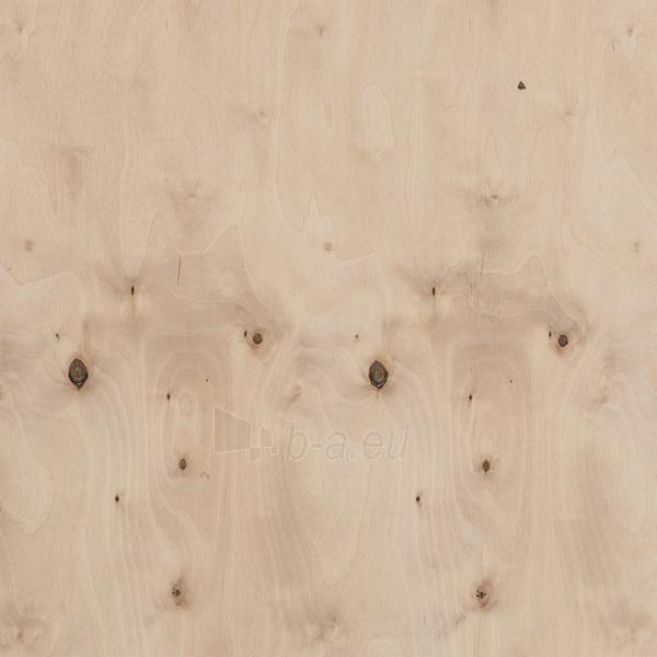 Moisture resistant plywood 1250x2500x6.5 WG/WG (3,125 kv. m) paveikslėlis 1 iš 1