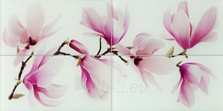44.8*89.8 D- TANGO FLOWER 4ELEM, dekoruota plytelė paveikslėlis 1 iš 1