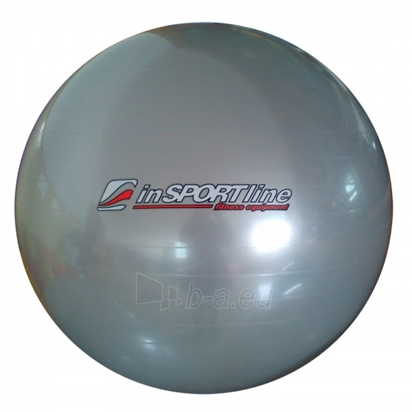 Gimnastikos kamuolys inSPORTline Comfort Ball 95 cm pilkas paveikslėlis 1 iš 5