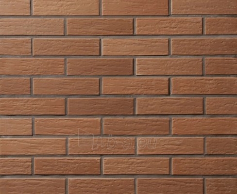Perforated facing bricks Vecais Rudis 11.212700L paveikslėlis 1 iš 2