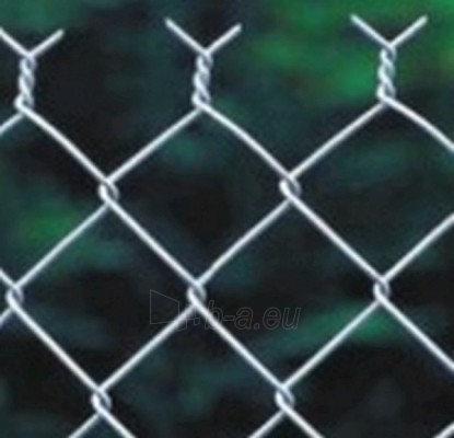 Cinkuotas regztas tvoros tinklas 2x50x50x2,0 m. (25m, 50 kv/m) paveikslėlis 1 iš 2