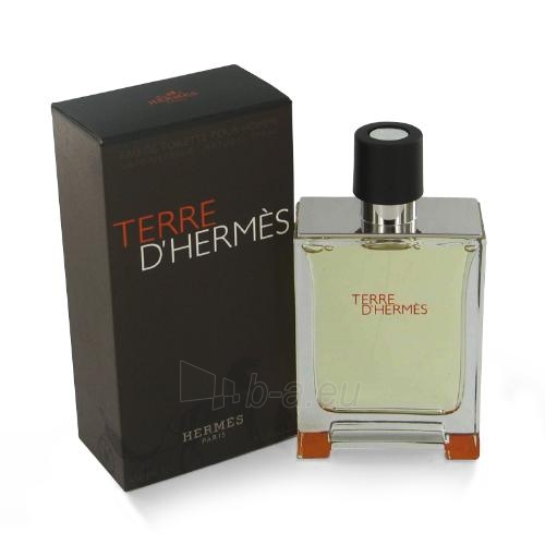 Hermes Terre D Hermes EDT 50 ml paveikslėlis 1 iš 1