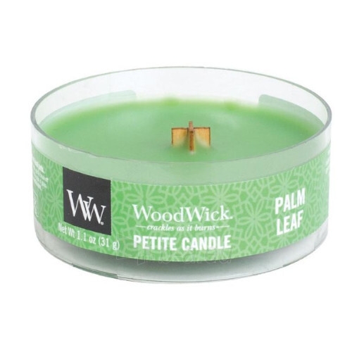 Aromatinė žvakė WoodWick Aromatic small candle with wooden wick Palm Leaf 31 g paveikslėlis 1 iš 1