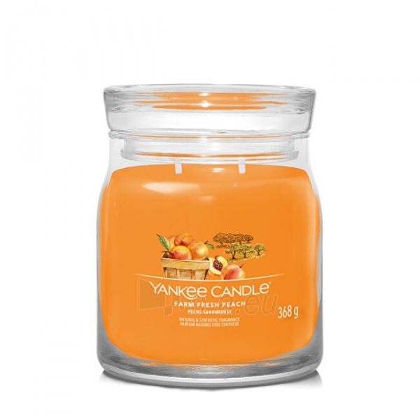 Aromatinė žvakė Yankee Candle Aromatic candle Signature glass medium Farm Fresh Peach 368 g paveikslėlis 1 iš 1