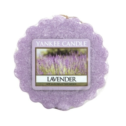 Aromatinė žvakė Yankee Candle Fragrant wax in aromalamp Lavender (Lavender) 22 g paveikslėlis 1 iš 1