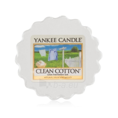 Aromatinė žvakė Yankee Candle Fragrant Wax to Aromalamp (Clean Cotton) 22 g paveikslėlis 1 iš 2
