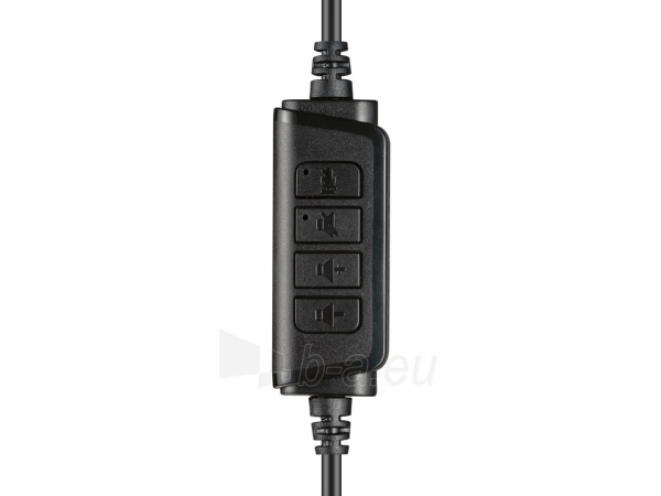 Ausinės Sandberg 126-16 USB Chat Headset paveikslėlis 2 iš 4