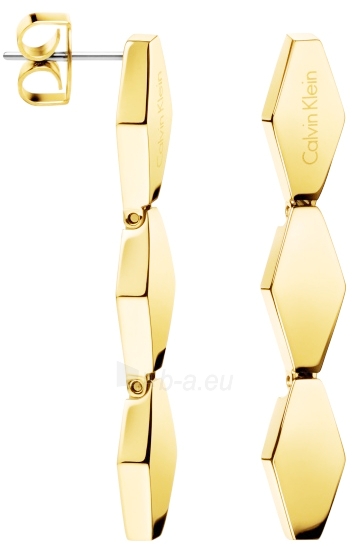 Auskarai calvin klein Gold earrings Snake KJ5DJE100100 Cheaper online Low price | English ba.eu