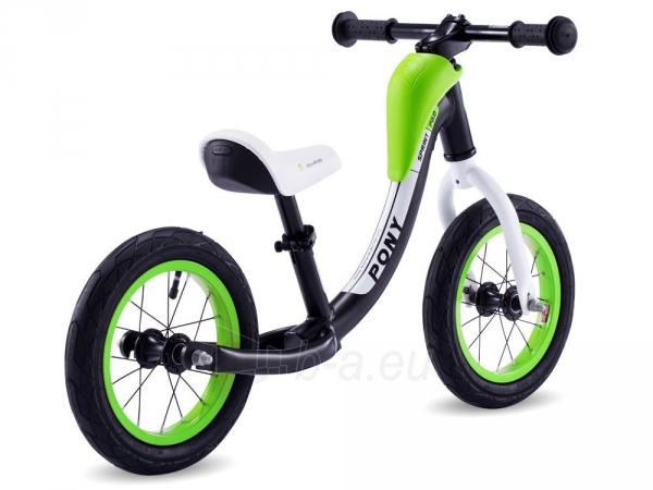 Balansinis dviratukas Royal Baby, žalias paveikslėlis 8 iš 21