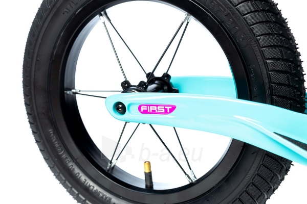 Balansinis dviratukas Karbon First blue-pink paveikslėlis 5 iš 7