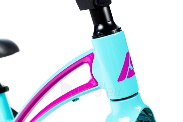 Balansinis dviratukas Karbon First blue-pink paveikslėlis 6 iš 7